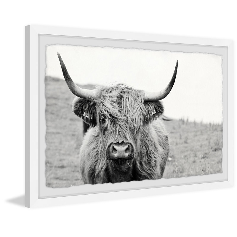 Mountain Cow - Single Picture Frame Print, 20cm H x 30cm W x 3.81cm D