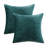 The Smith Feather Reversible Throw Pillow-88972946
