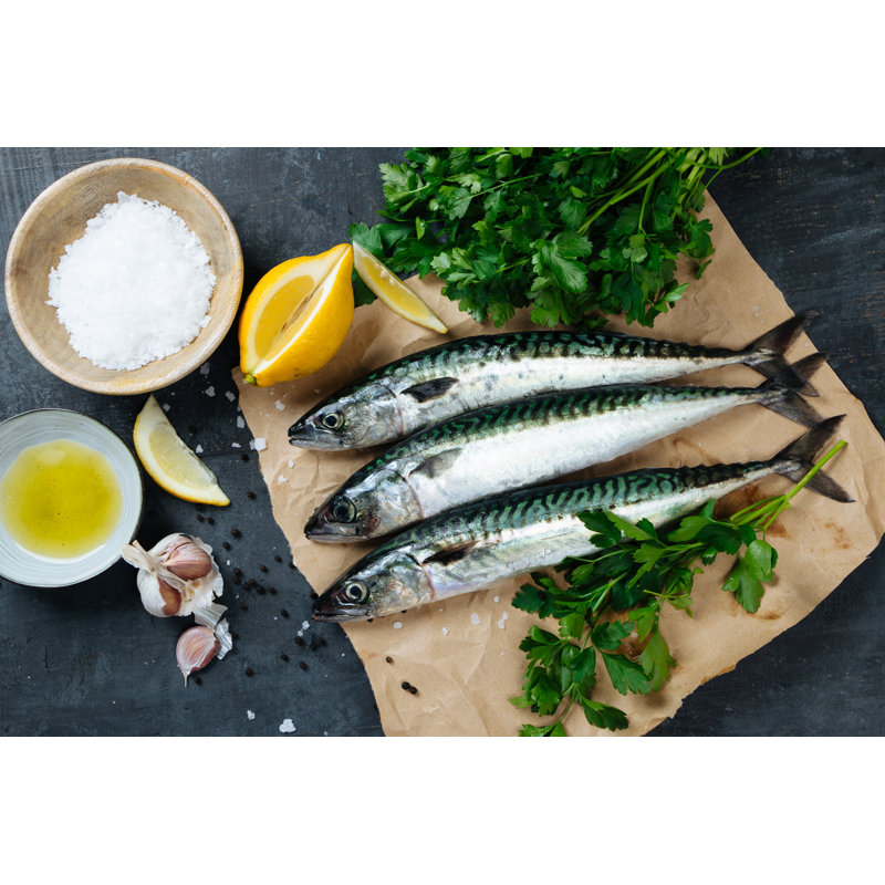 Mackerel Fish by ASIFE - Wrapped Canvas Print, 81cm H x 122cm W x 3.8cm D