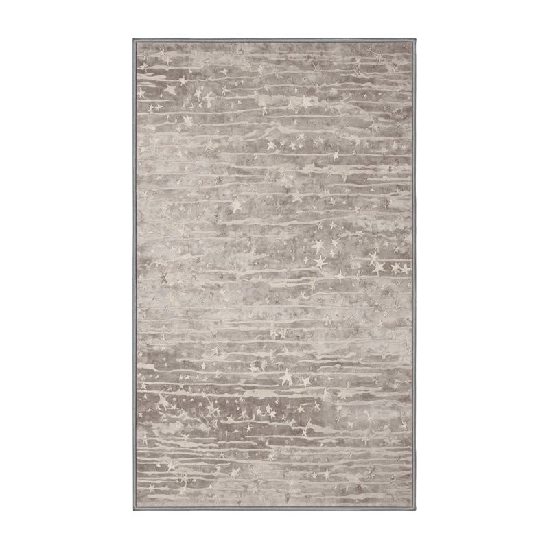Tapis gris soyeux et moelleux, Rectangle 4 pi x 6 pi