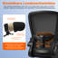 Hailes Ergonomic Office Swivel Chair