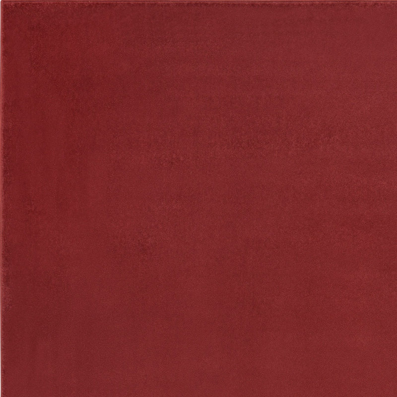 Tapis d'extérieur rouge brique 4 pi x 6 pi résistant aux taches