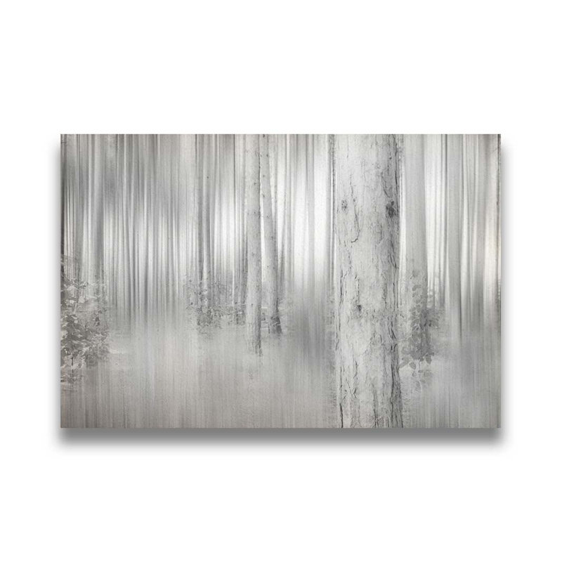 Dans un bois flou par Hal Halli. Estampe numérique, H 30,5 po x l 45,5 po, Noir, Impression encadrée sans passe-partout