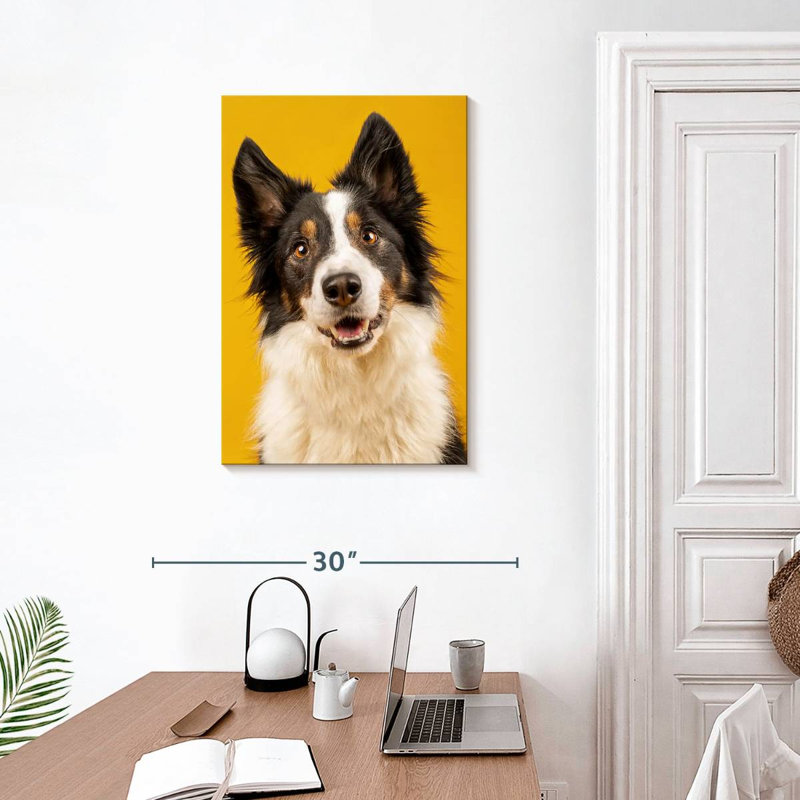 Brampt Adorable Border Collie, 30" H x 20" W