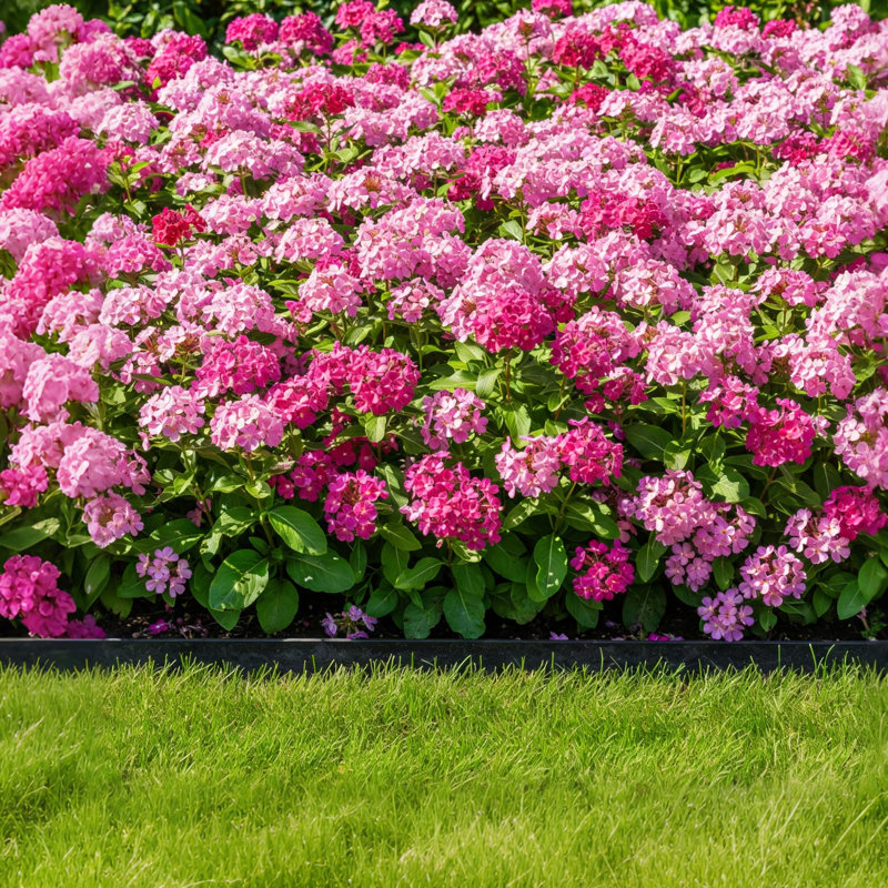12 cm H Plastic Lawn Edging Fencing