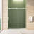Frameless Sliding Shower Door