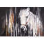 «White Horse In The Dark», reproduction sur toile