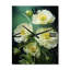 Green Buttercups Realistic Radiance I - Horloges murales Buttercups-1245262081
