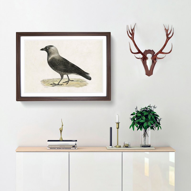 Western Jackdaw by Von Wright - Picture Frame Painting Print, 36cm H x 48cm W x 2cm D, Walnut Framed