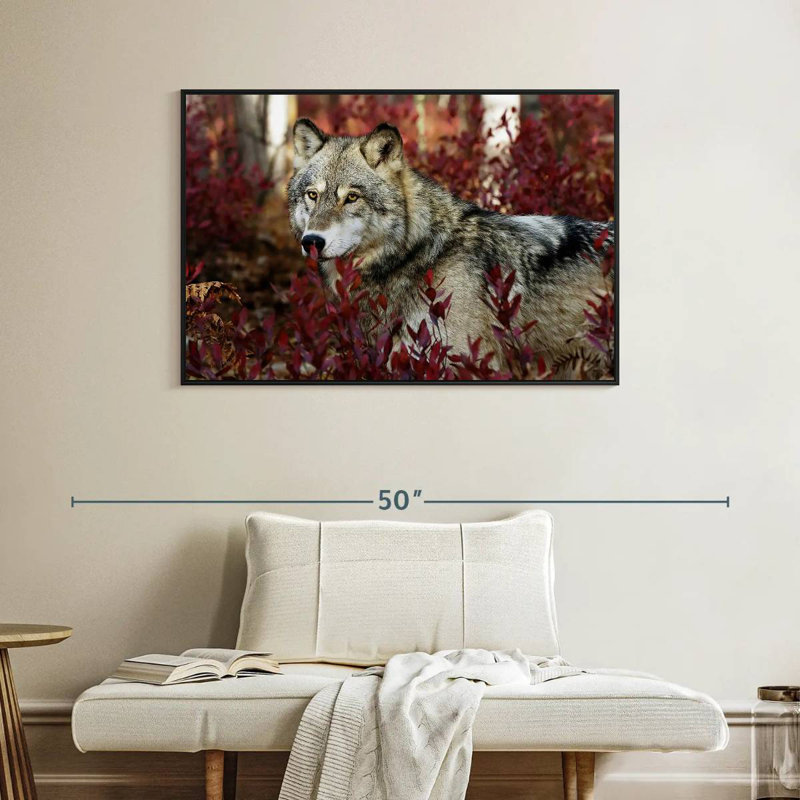 Hiding Timber Wolf, Floating Frame Black, 40" X 27"