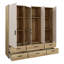 Rajish Manufactured Wood Wardrobe