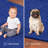 Modern Plush Pet and Kids Friendly Solid Color Neon Blue Area Rugs, Stain & Fade Resistance, Perfect for Living Room, Dining Room, Bedroom, Playroom and Kidsroom, Event, Wedding, Amberlie Rug-37332846