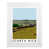 White Wood Frame