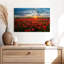Lever de soleil sur le coquelicot rouge-1106108904