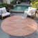 Machine Washable Indoor/Outdoor Chayden ACN1016 Rug