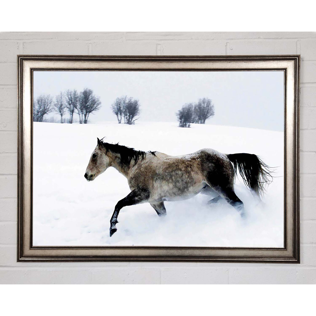 Stallion In The Snow - Druck