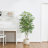 Adcock Faux Ficus Tree in Pot, Faux Green Plant, Fake Ficus Tree for Home Décor