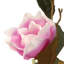 Magnolia artificiel 48 po en pot-1479749221