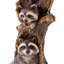 Resin Raccoon Bird Bath