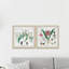 Crinum - ensemble de 2 reproductions d'art graphique-26161928