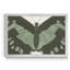 «Beautiful Butterfly II», impression sur toile encadrée-209804969-209804974