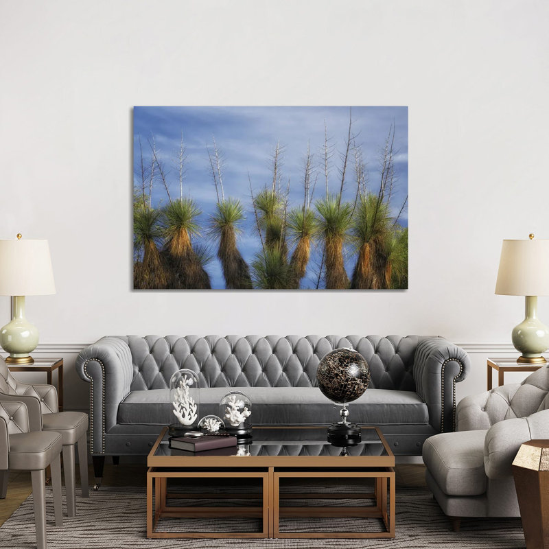 Cactus Display by Dennis Frates - Gallery-Wrapped Canvas Giclée on Canvas, 101.6 cm H x 152.4 cm W  x  3.175 cm D