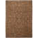 Hillsboro Oriental Indoor Rug