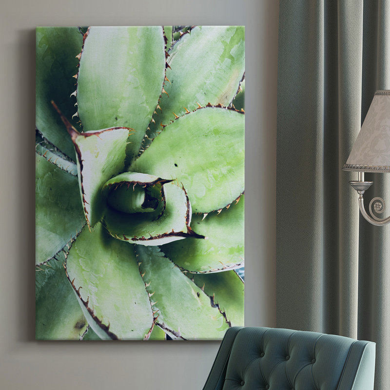 Green Tropical Succulent VI - Photographie sur toile tendue, H 60 po x l 40 po x P 1,5 po
