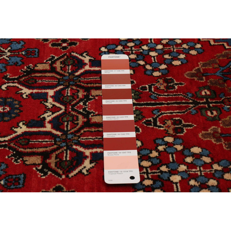 Tapis rouge rétro Kayseri 3 pi 7 po x 12 pi 0 po