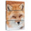 Brampt Fluffy Red Fox