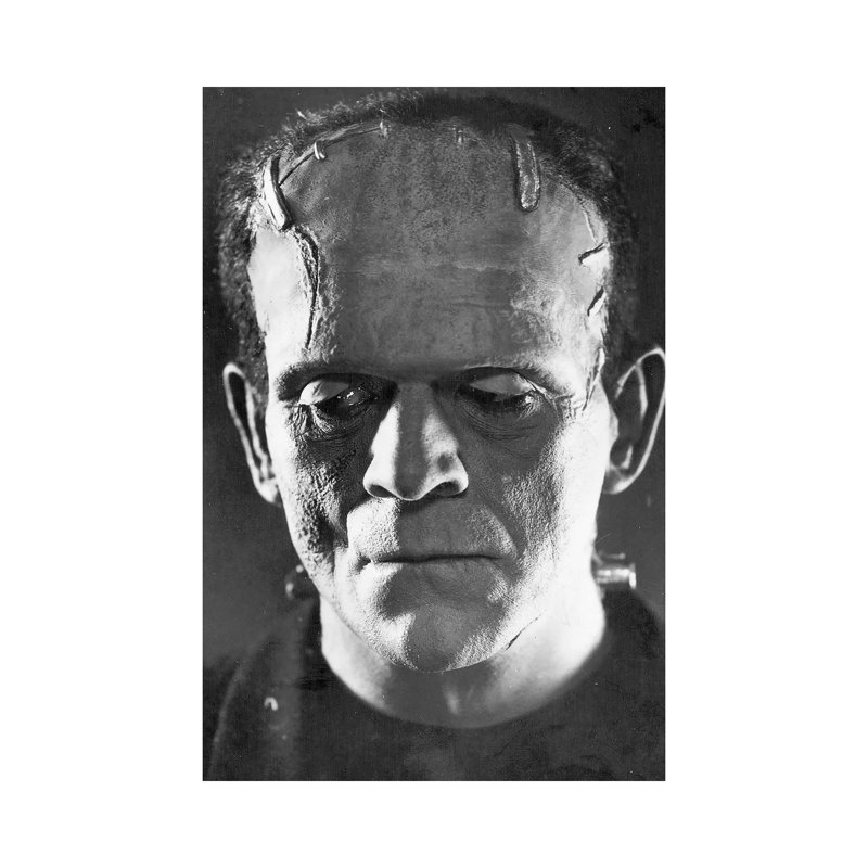Frankenstein, 1931 - Wrapped Canvas Print, 101.6 cm H x 66.04 cm W x 3.175 cm D