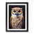 Black Framed selected