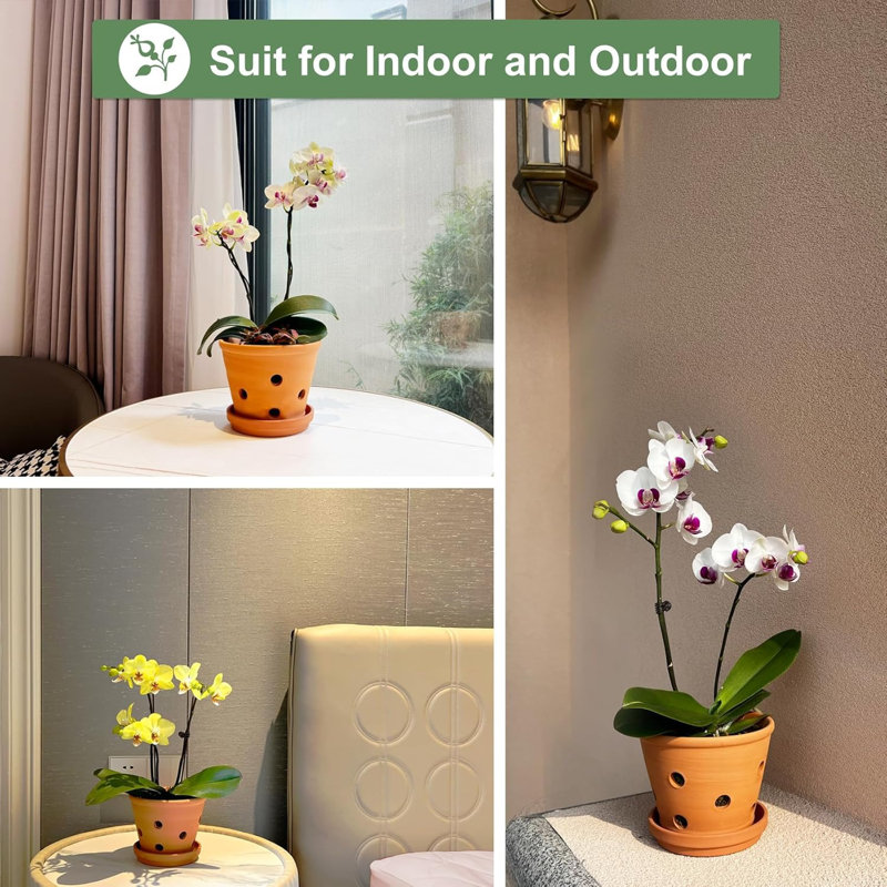 6" Terracotta Orchid Pots With Holes & Saucers 3-pack