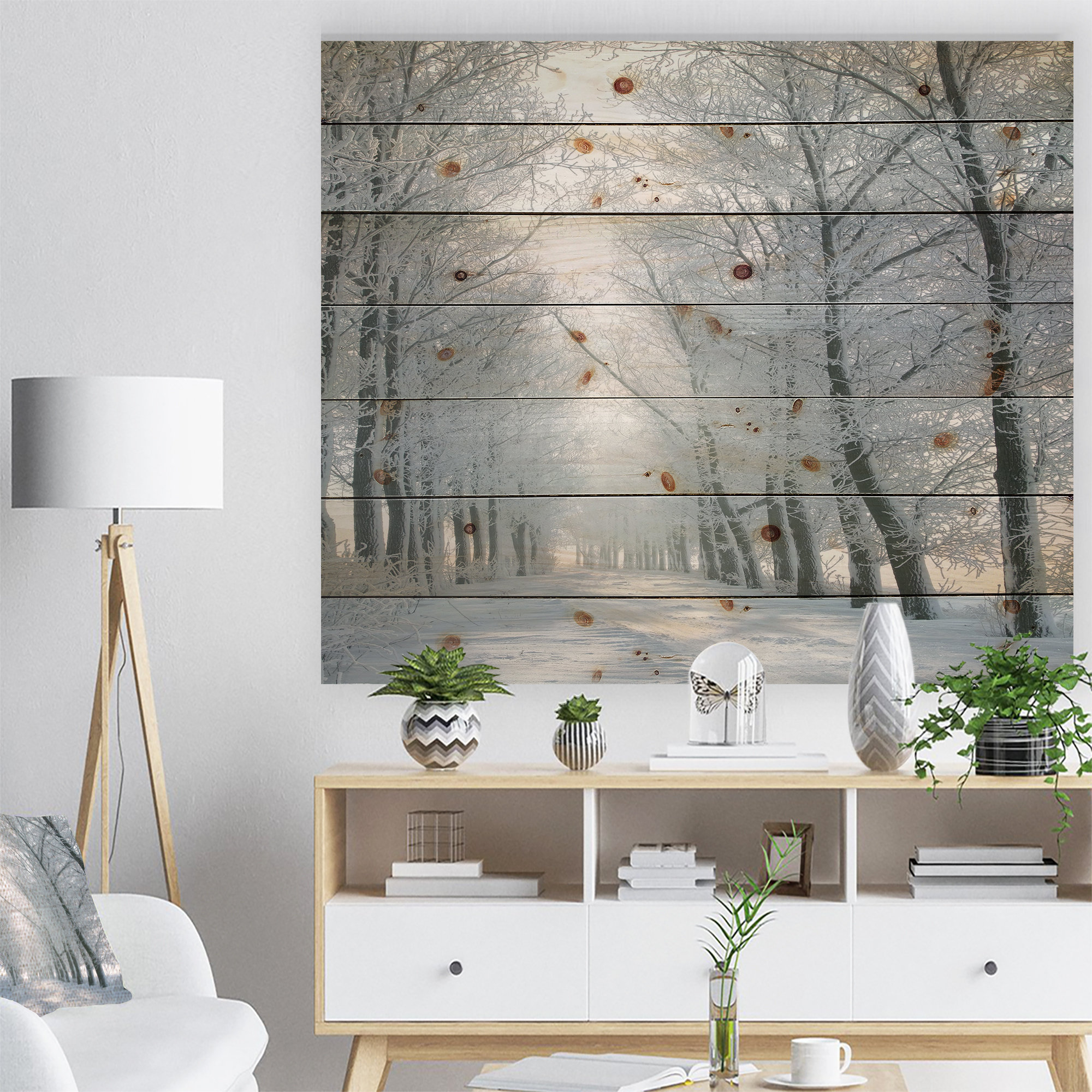 Millwood Pines Winter Road Backlit my Morning Sun - Forest Print on ...