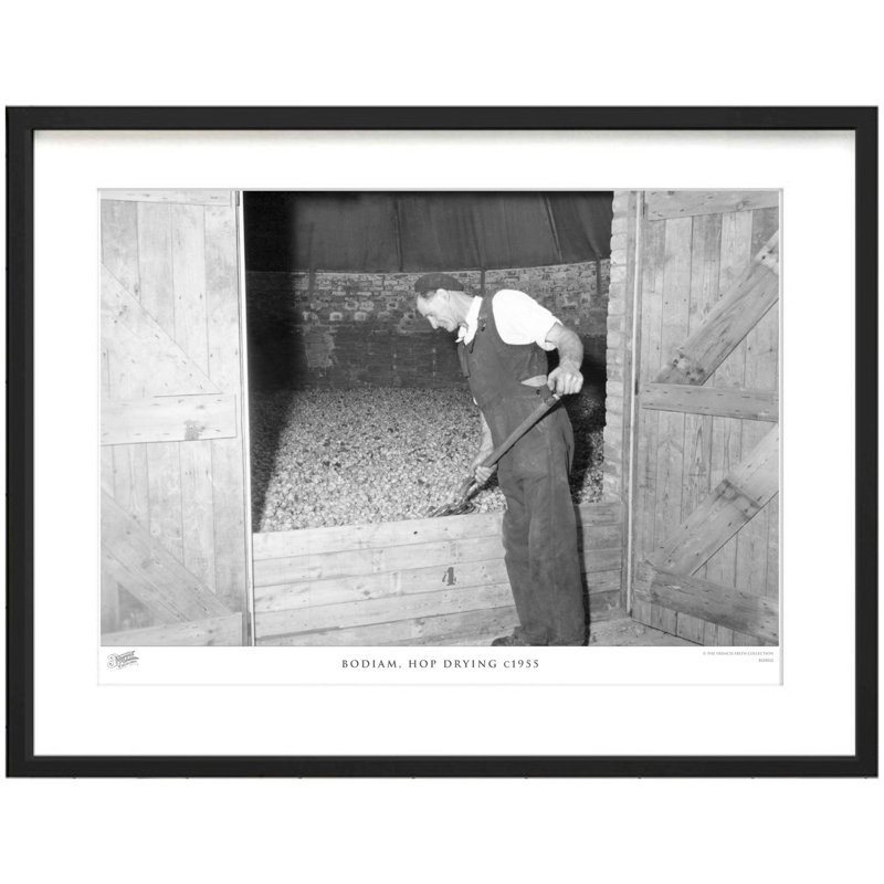 Bodiam, Hop Drying C1955 by Francis Frith - Single Picture Frame Print, 60cm H x 80cm W x 2.3cm D
