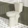 21" Extra Tall Toilet| Elongated Two Piece Toilet with Powerful 1.28GPF Flush| Tall Toilet for Disabled