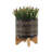 S/2 5/8" GLAZED PLANTER W/ STAND, BLACK