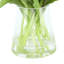 Vraies tulipes dans un vase en verre-1820947972