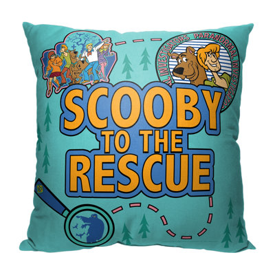 Indoor/Outdoor Pillow Cover