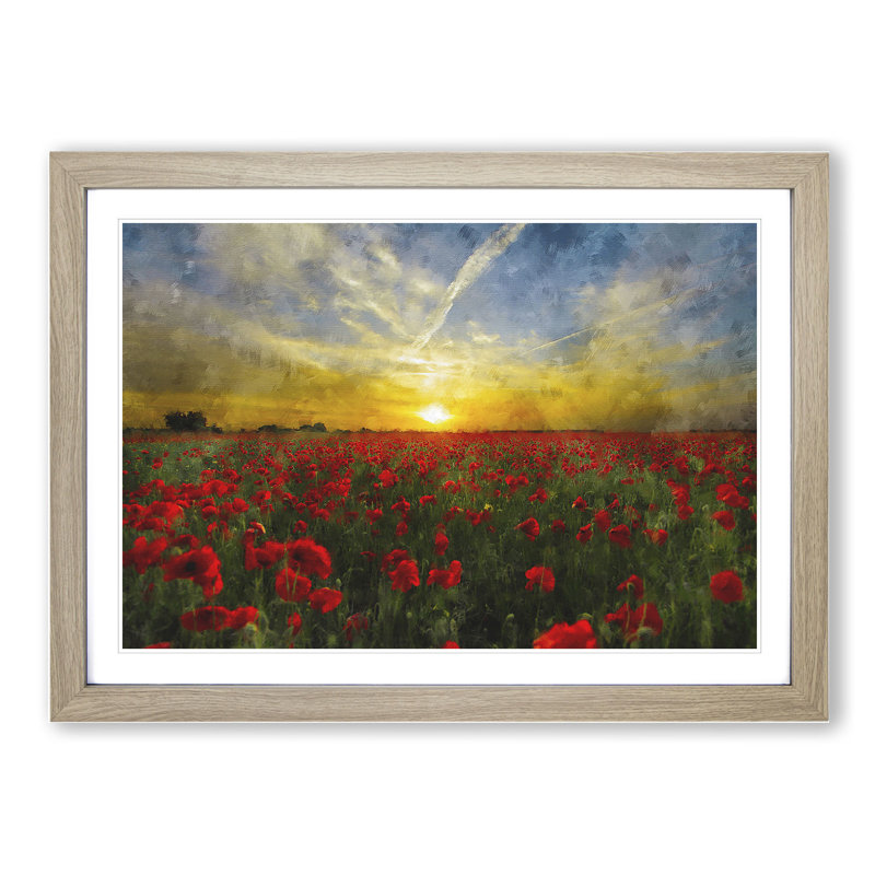 Field of Poppies Vol.3 - Framed Print, Oak Framed, 36cm H x 48cm W x 2cm D
