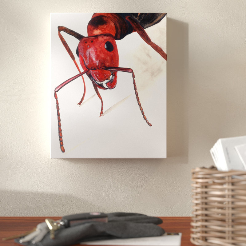 «Red Ant», reproduction de peinture à l'aquarelle, H 10 po x l 8 po x P 1,5 po, Toile tendue