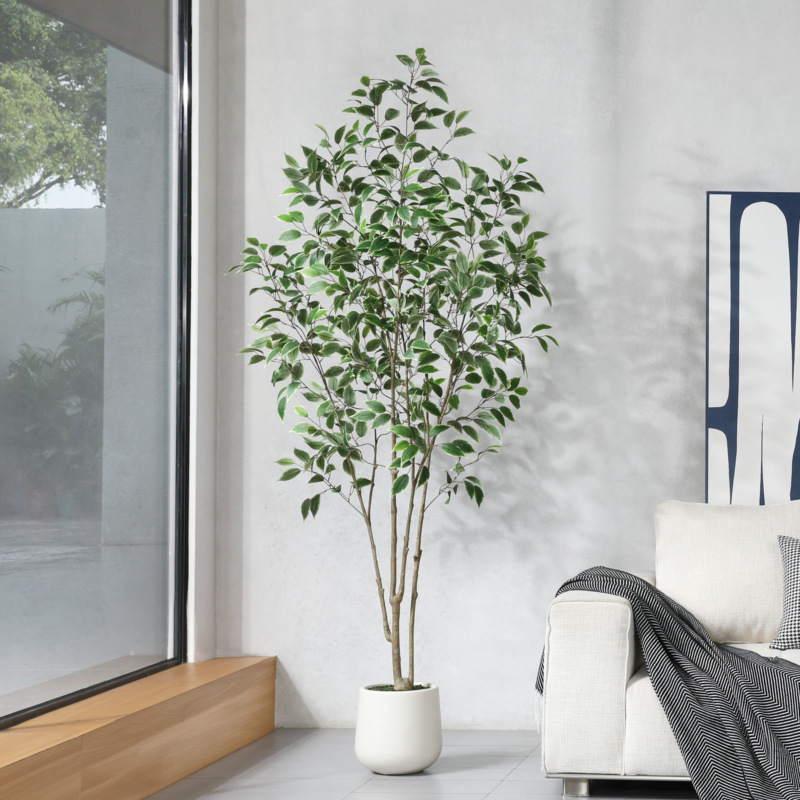 Adcock Ficus Tree in Pot, 84" H x 28" W x 28" D
