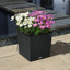 Moneak Planter Box-2033258000-2033258002