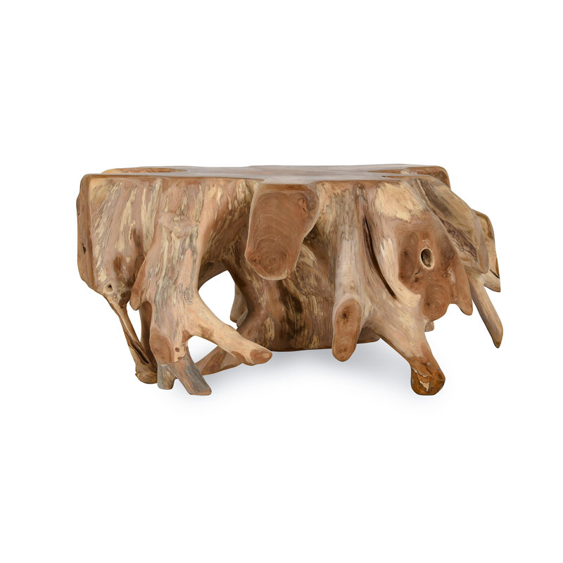 Cypress Natural Root Teak Wood Coffee Table