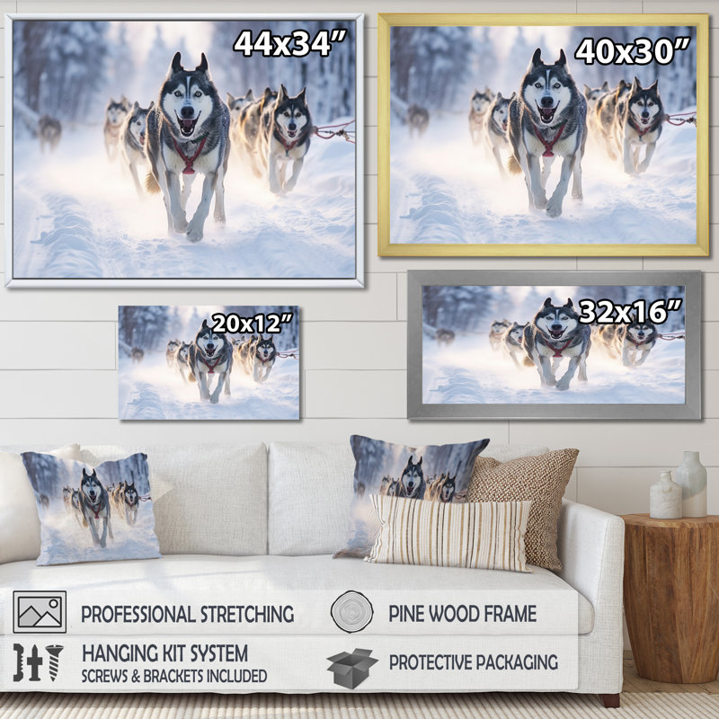 «Alaska Dog Sledding II», reproduction sur toile, H 34 po x l 44 po x P 1,5 po, Toile blanche