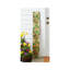 Coussin d'extérieur Botanical Bliss, 119 cm x 18,5 cm-1005152842