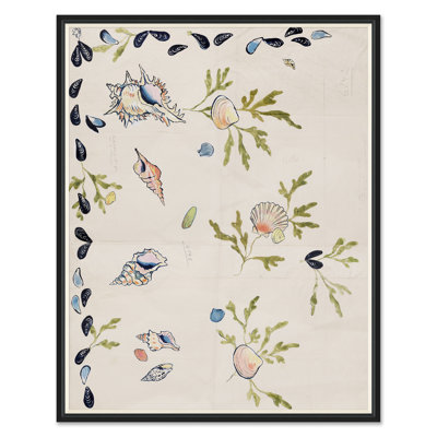 Shell 2 Print by Paule Marrot