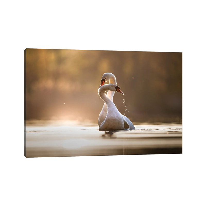 Affection 1 Piece Wrapped Canvas Wall Art, 30.48cm H x 45.72cm W x 1.905cm D