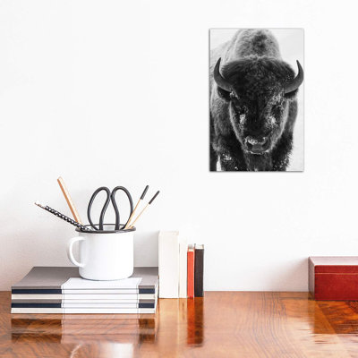 Bison Bull Frosty Morning by Ken Archer - Wrapped Canvas Print