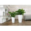 Rondo Pot Planter-29387142-29387138
